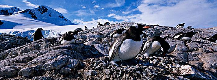 《VR战士5：最终对决》反响不错SEGA考虑出新作